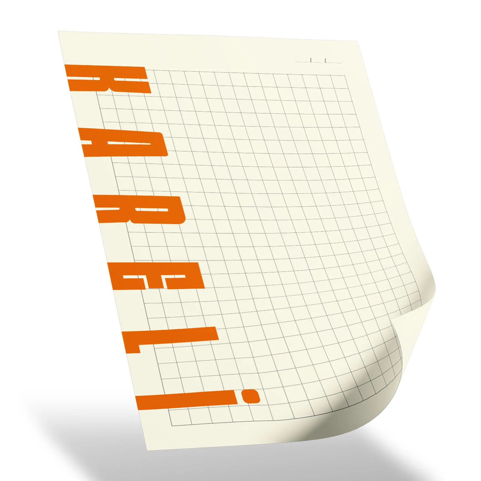 Plevne Kareli Tarihsiz Spiralli Defter (20x28 cm) – görsel 2